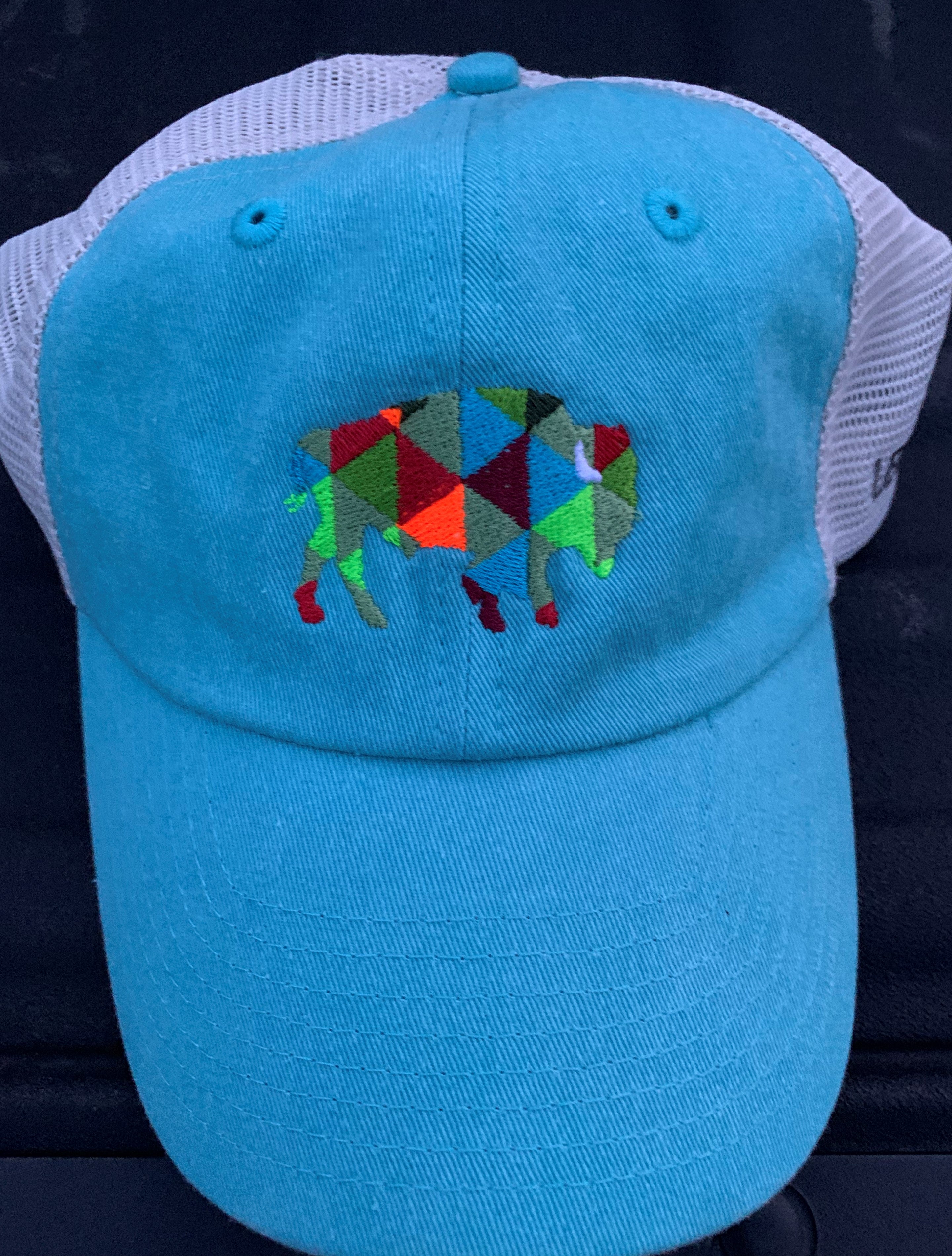 Multicolor Bison Aqua Hat/Stone Mesh