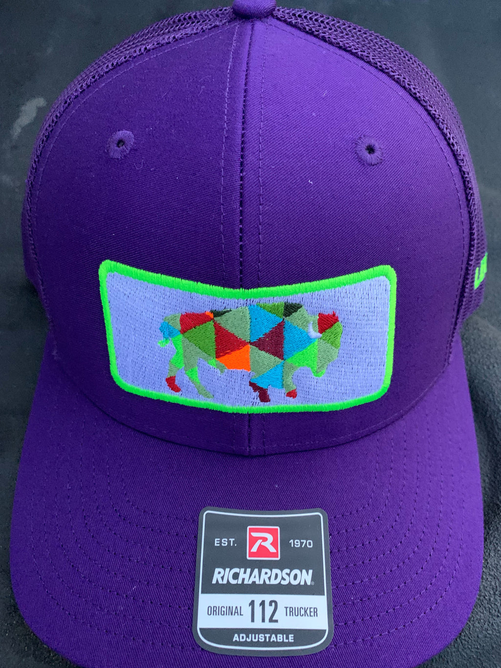 Flat Patch Multicolor Bison Purple Hat